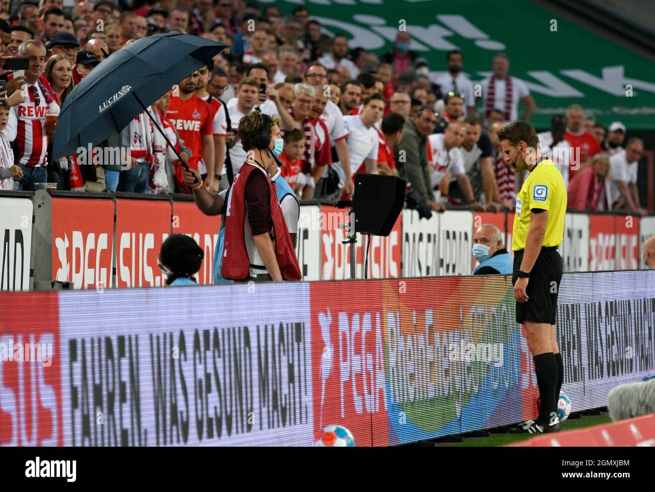 RheinEnergieStadion Köln Deutschland, 18.9.2021 Fußball: Bundesliga-Saison 2021/22, Spieltag 5, 1. FC Köln (KOE) vs Rasenballsport Leipzig (RBL) – Schiedsrichter Felix Brych überprüft VAR-Monitor die DFL-VORSCHRIFTEN VERBIETEN DIE VERWENDUNG VON FOTOS ALS BILDSEQUENZEN UND/ODER QUASI-VIDEO Stockfoto