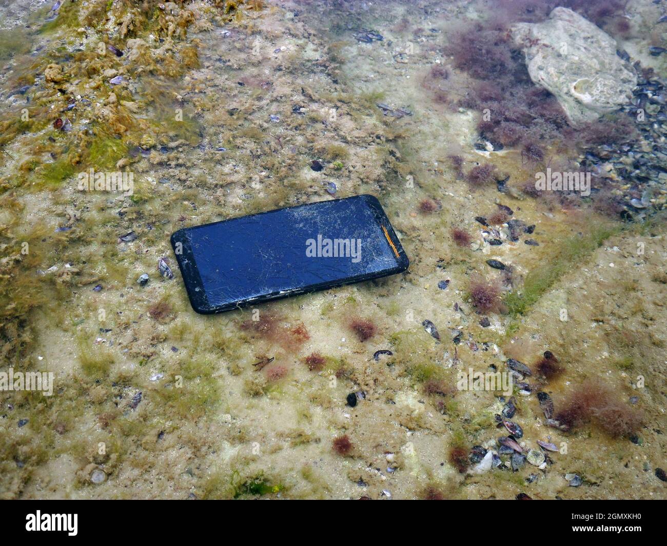 Smartphone unter Wasser. Beschädigtes Smartphone ertrank im Meer. Stockfoto