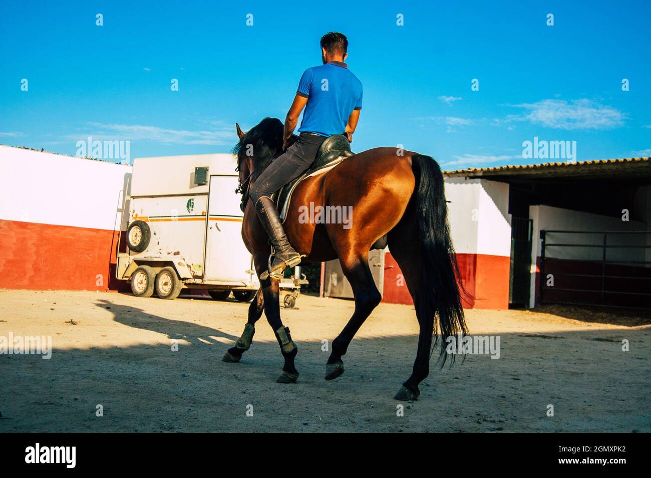Sevilla Spanien 15. September 2021 nicht identifizierte Spanier, die auf einer Hazienda in Andalusien in Südspanien zu Pferden tendieren Stockfoto
