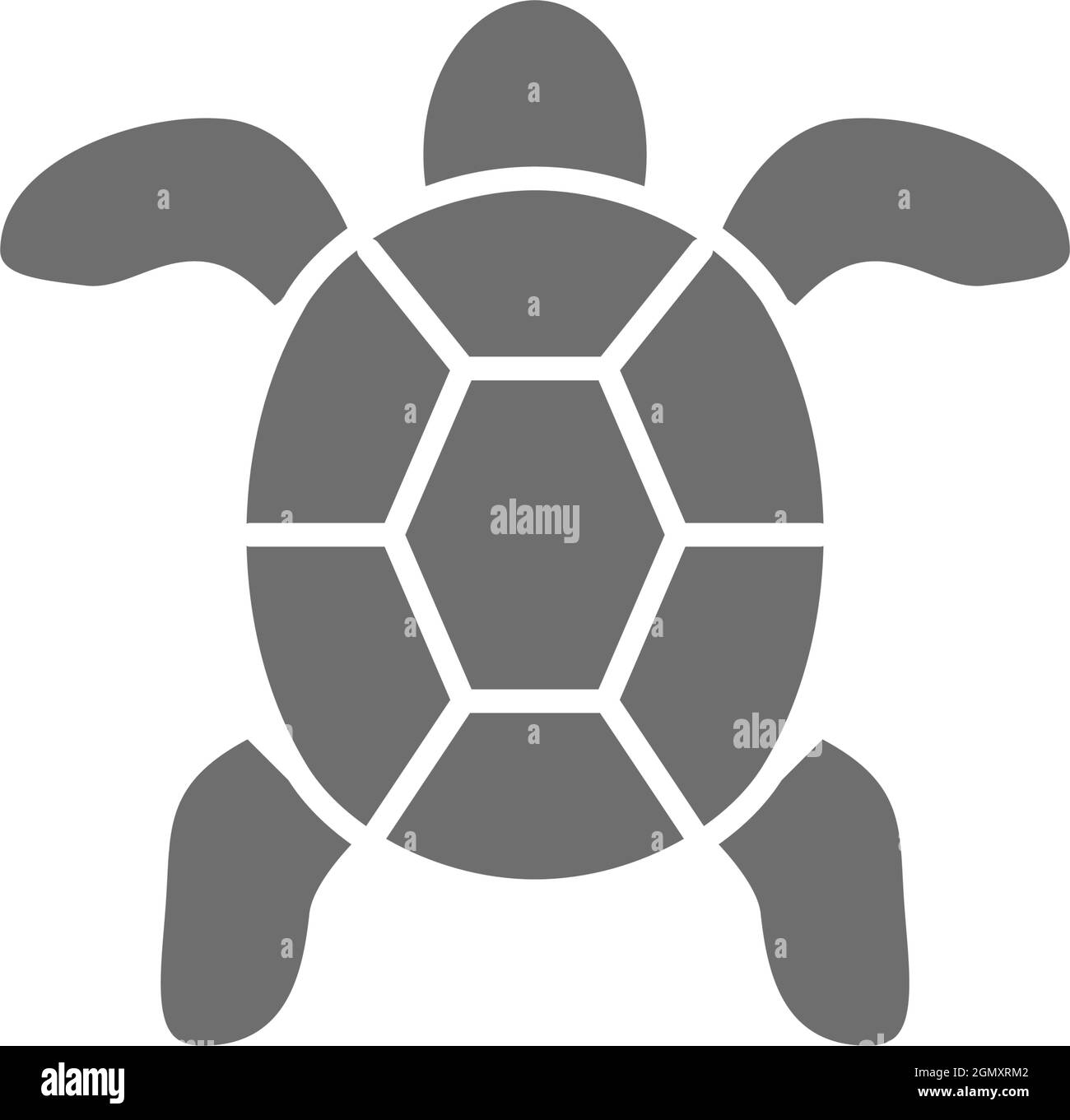 Schildkröte, graues Symbol für Wassertiere. Isoliert auf weißem Hintergrund Stock Vektor