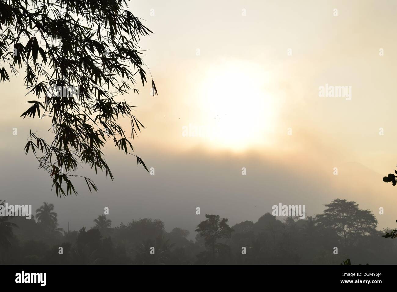Sonnenaufgang, Sri Lanka Stockfoto