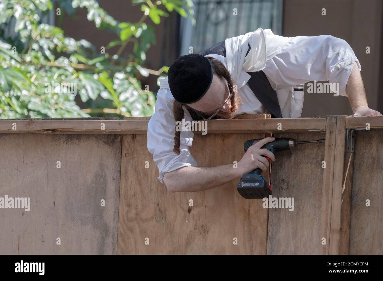 Für den Sukkos-Feiertag baut ein orthodoxer jüdischer Mann mit einer tragbaren Bohrmaschine eine Sukkah vor einer Nachbarschaftssynagoge. In Brooklyn, New York. Stockfoto