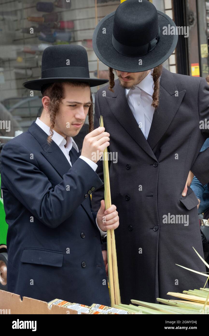 2 orthodoxe jüdische Männer untersuchen einen Lulav, der einen ohne Fehler kaufen möchte. An der Lee Ave. In Williamsburg, Brooklyn, New York City. Stockfoto