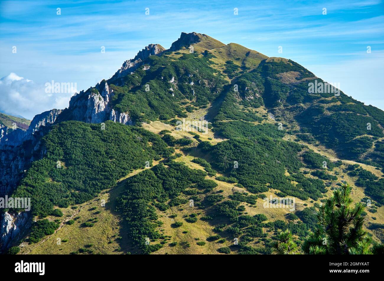 Sommerpanorama des Gramolon. Mont Gramolon ist Teil der Tre Croci Kette in Italien Stockfoto
