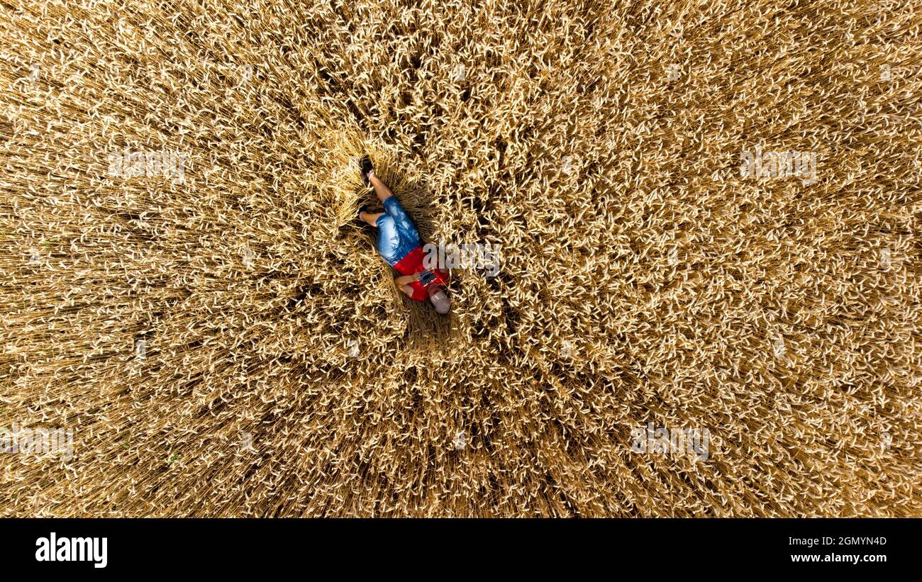 Ein Mädchen, das auf dem Boden in einem Weizenfeld liegt. Draufsicht. Luftdrohnenansicht. Stockfoto
