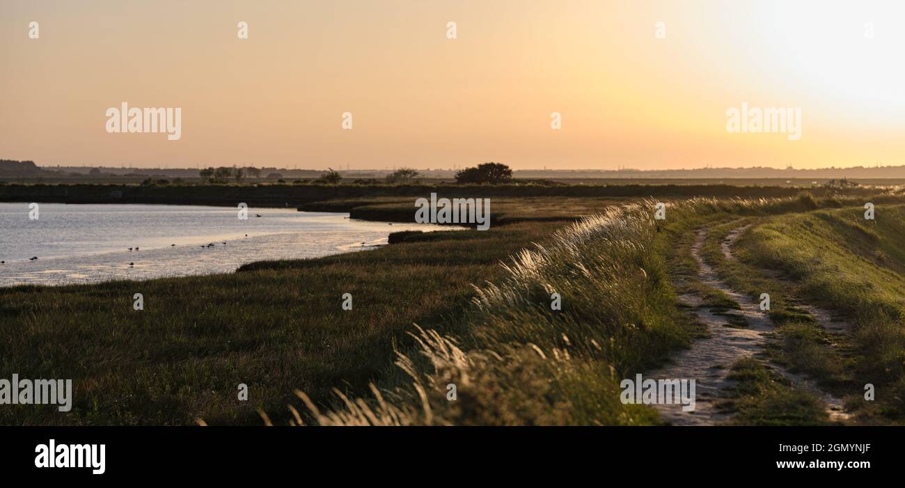 Aldeburgh Town Marsh Trail ... Ein Spaziergang entlang des erhöhten Flussufers und der Felder Stockfoto