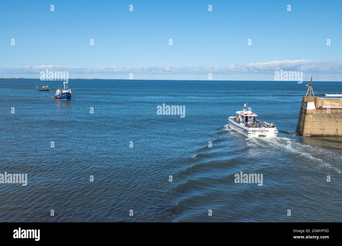 Sightseeing-Passagiere, die vom Hafen von Seahouses aus eine Bootsfahrt zu den Farne-Inseln Unternehmen. Stockfoto Sightseeing-Passagiere, die vom Hafen von Seahouses aus eine Bootsfahrt zu den Farne-Inseln Unternehmen. Stockfoto
