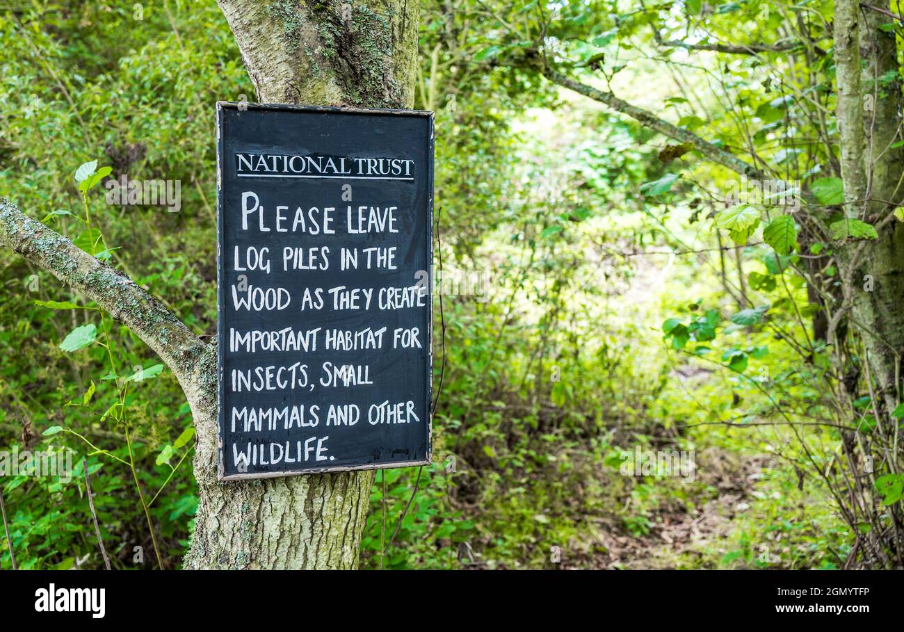 Nationales Treuhandzeichen „ Bitte lassen Sie Holzstapel“ auf einem Kreidetafel geschrieben. Stockfoto