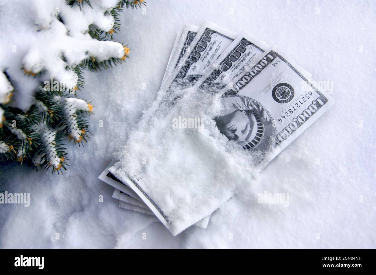 Haufen von Spielgeld ist mit Schnee bedeckt.  Tannenzweigen Rahmen Geld. Stockfoto