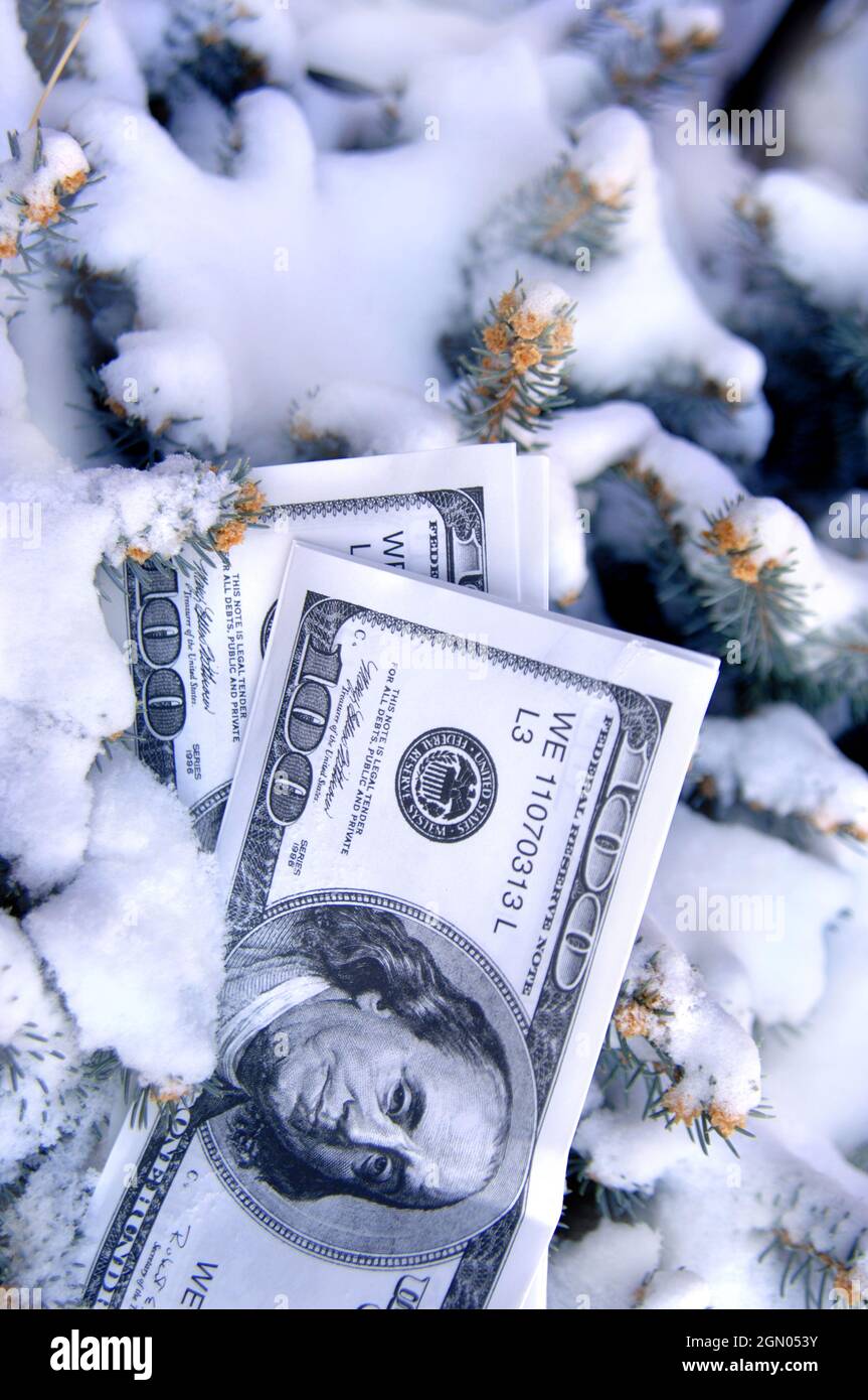 Stapel von Spielgeld legt im Schnee begraben.  Kiefer-Äste Rahmen Stash. Stockfoto