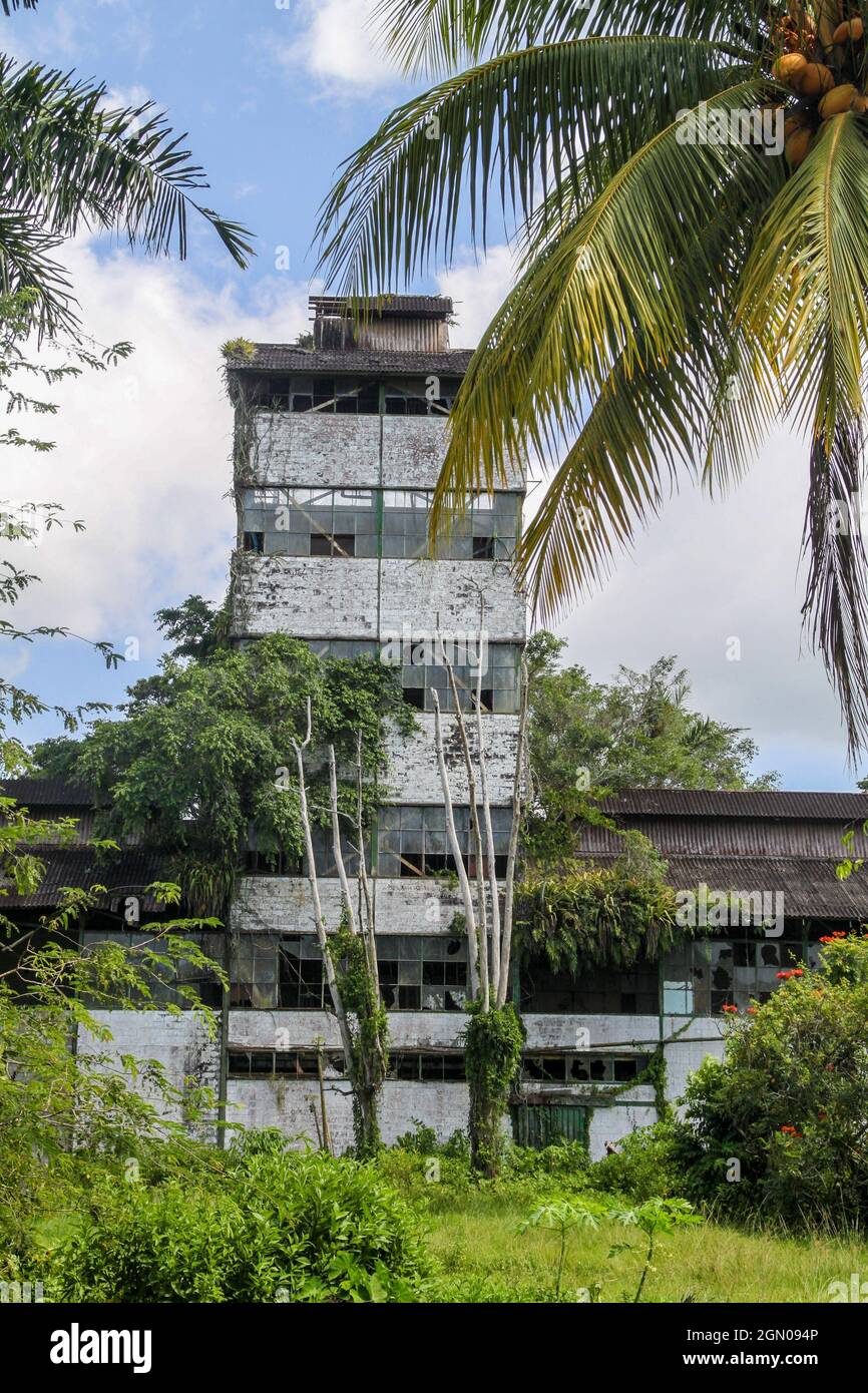 Ehemalige Zuckerrohrfabrik auf der Marienburger Plantage in Suriname Stockfoto