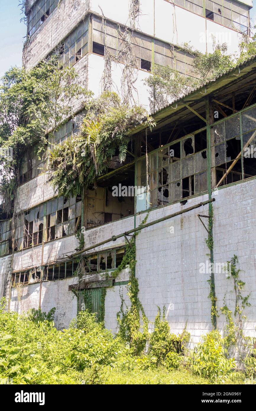 Ehemalige Zuckerrohrfabrik auf der Marienburger Plantage in Suriname Stockfoto