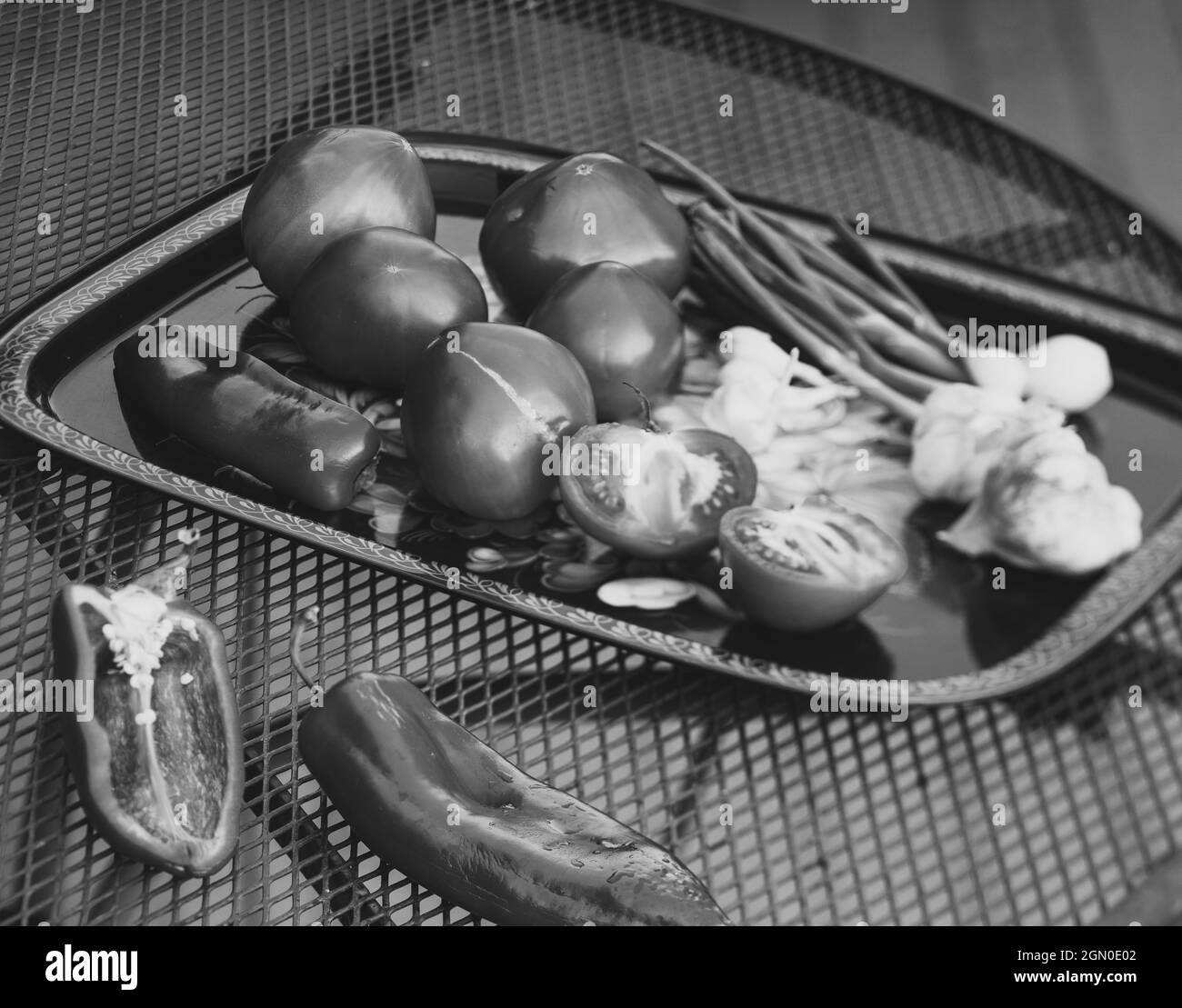 Tomaten, Knoblauch, grüne Zwiebeln auf Tablett. BCLose-up. Schwarz und Weiß. Stockfoto