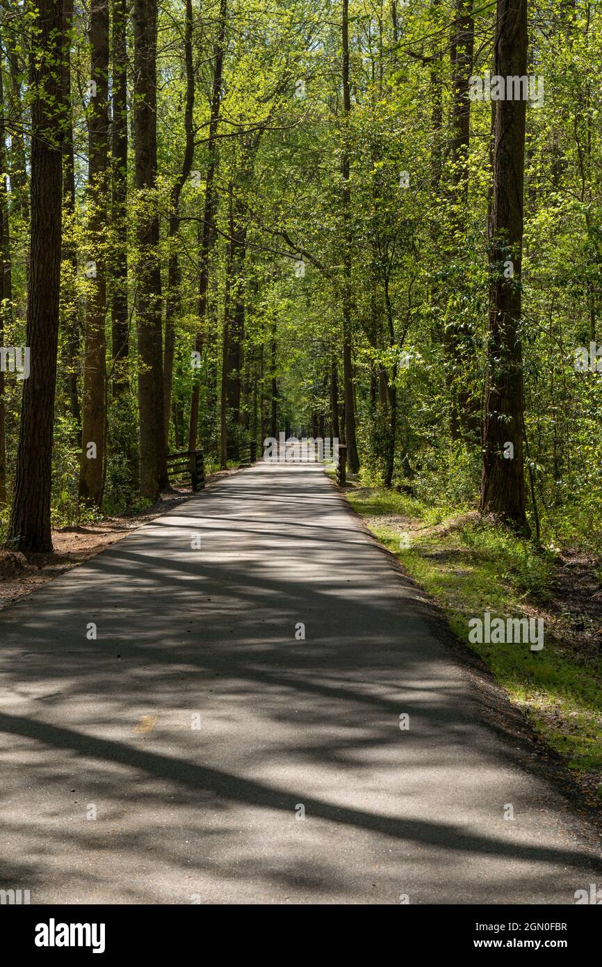 Schöner Greenway mit gepflasterten Pfad, der gerade durch ein Waldgebiet verläuft, Sonnenlicht und Schatten, North Augusta South Carolina, vertikaler Aspekt Stockfoto