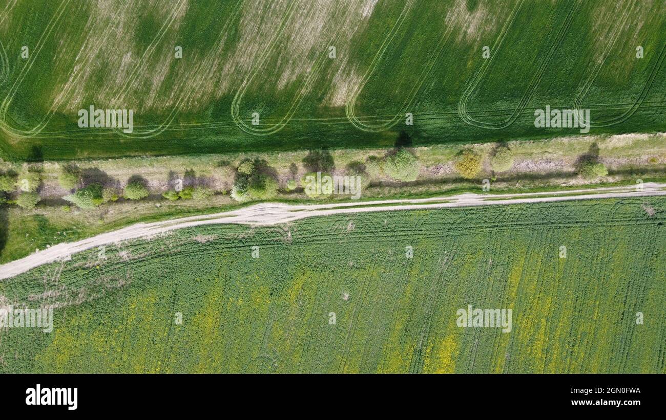 Unbefestigte Straße entlang des verlassenen Meliorationskanals. Landwirtschaftliche Flächen, Luftaufnahme. Stockfoto