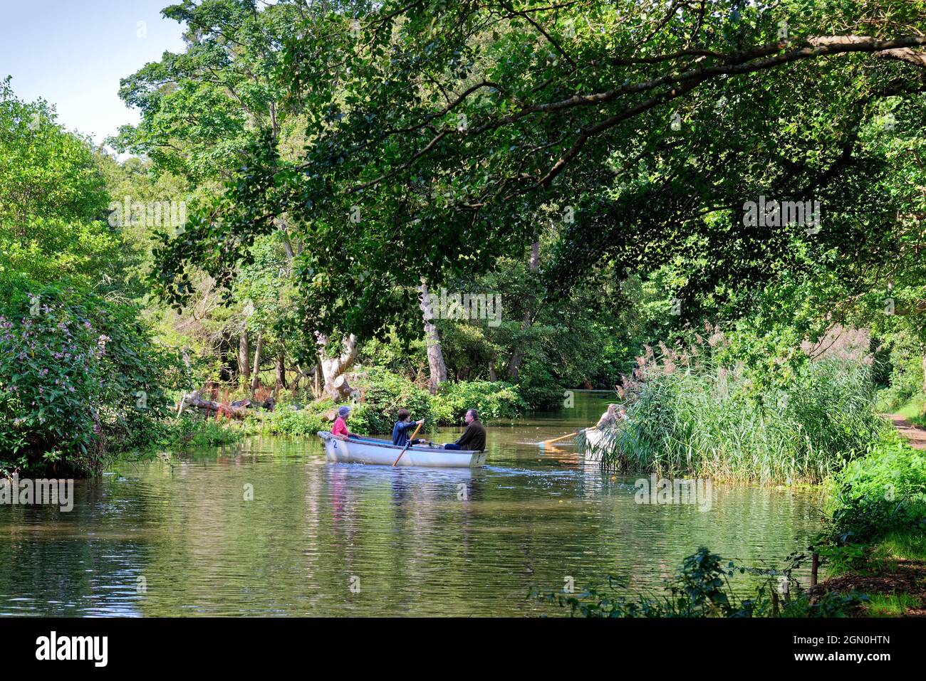 Menschen rudern Boote auf dem Fluss Wey Navigation Kanal an einem sonnigen Sommertag, in der Nähe von Byfleet Surrey England UK Stockfoto