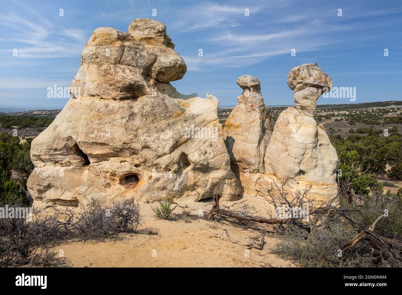 Kleine Löcher im Sandstein bilden den Bogen des Alien Arch im Potter Canyon New Mexico Stockfoto