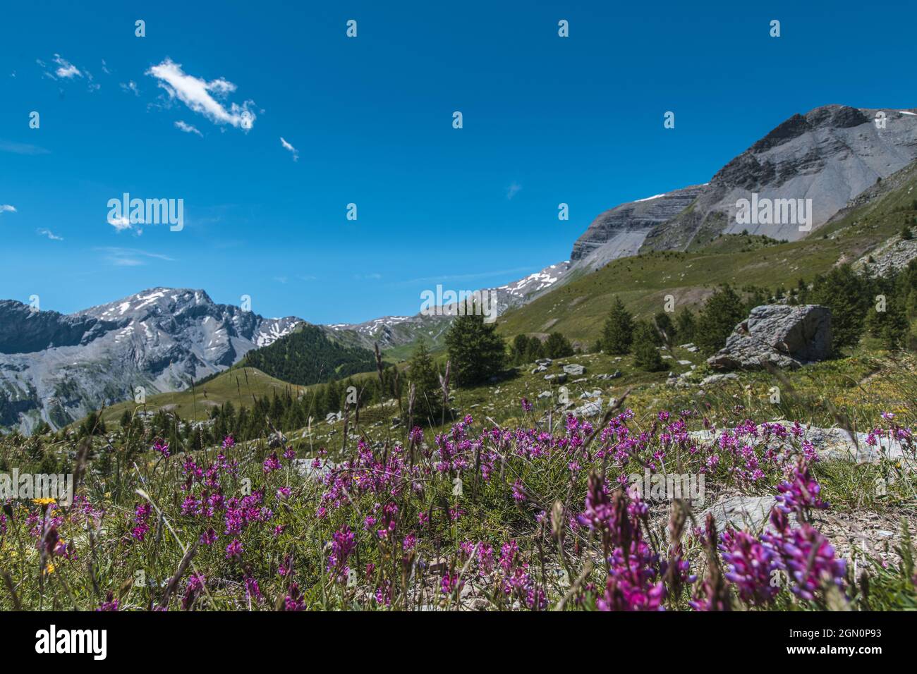 Wiese und Berge in Col de Vars, Alpen, Frankreich Stockfoto