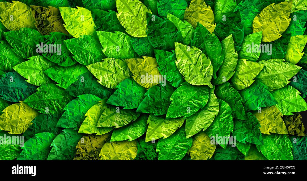 Grüner Blatthintergrund und natürliches Pflanzenmuster Laub aus ausgeschnittem strukturiertem Papier Baumblätter als abstrakte Naturtapete. Stockfoto