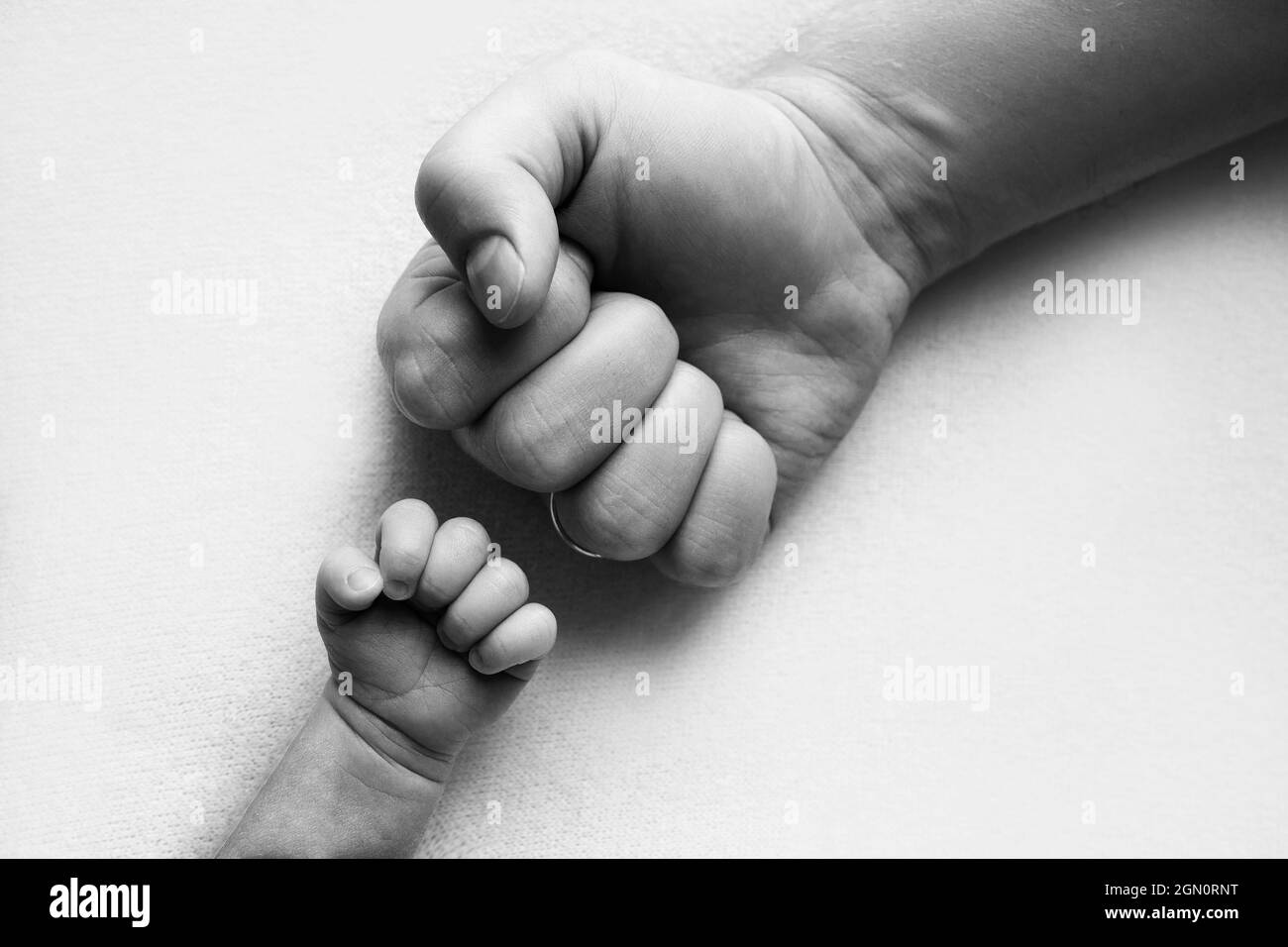 Vater und neugeborener Sohn halten ihre Hände in einer Faust, kleinen und großen Fäusten. Stockfoto