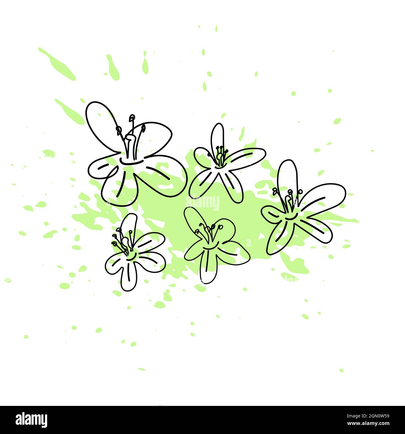 Vektor-Illustration von Apfelbaum Blumen mit grüner Farbe Spritzer. Linienkunst. Stock Vektor