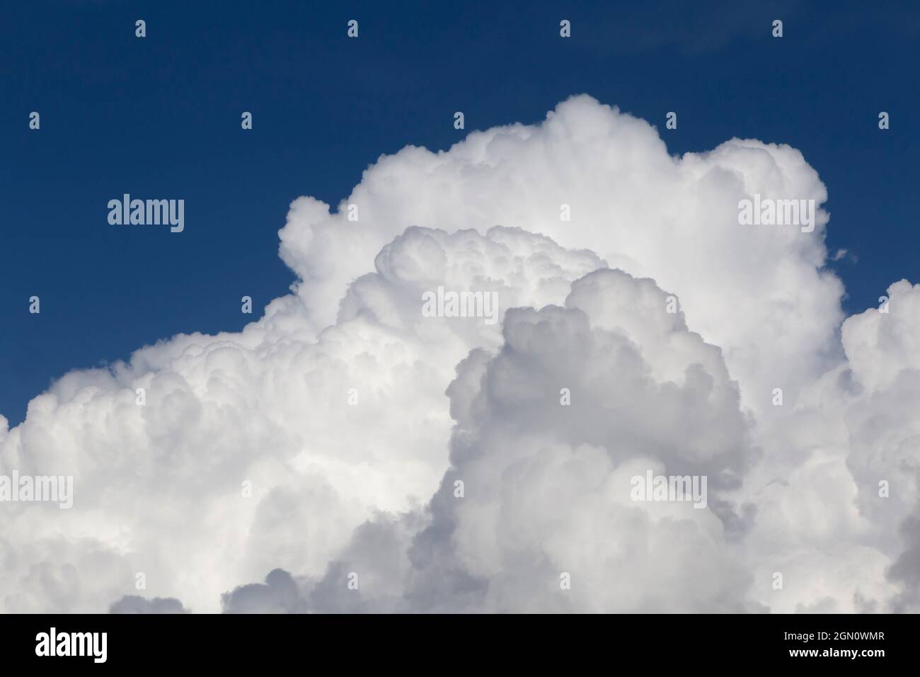 Nahaufnahme von Regen flauschige Wolke in einem blauen Himmel Stockfoto