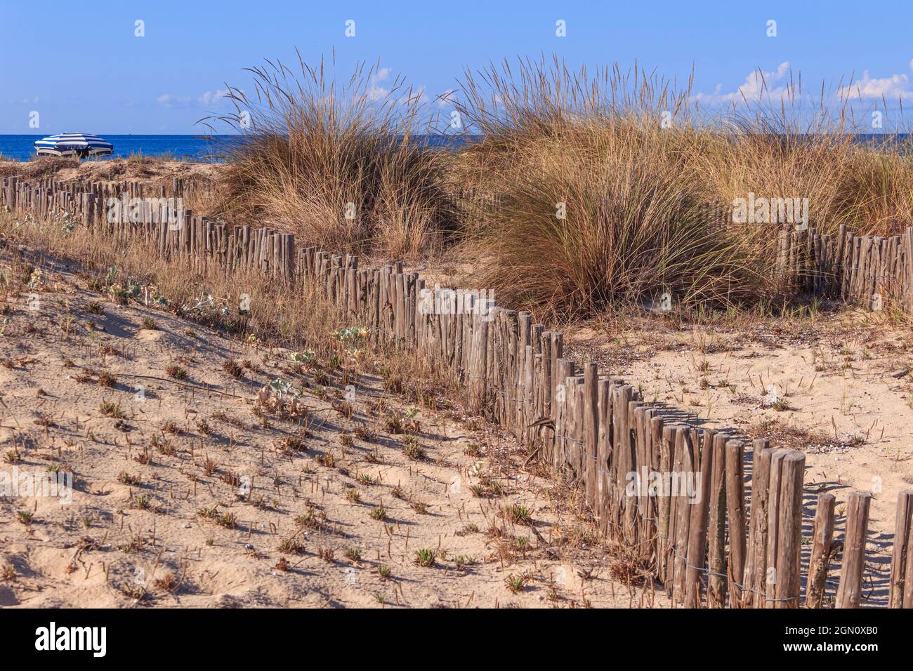 Einsamer Sonnenschirm hinter den Dünen: Der Strand Punta Prosciutto in Apulien (Italien) erstreckt sich im Naturpark „Palude del Conte e Duna Costiera“. Stockfoto
