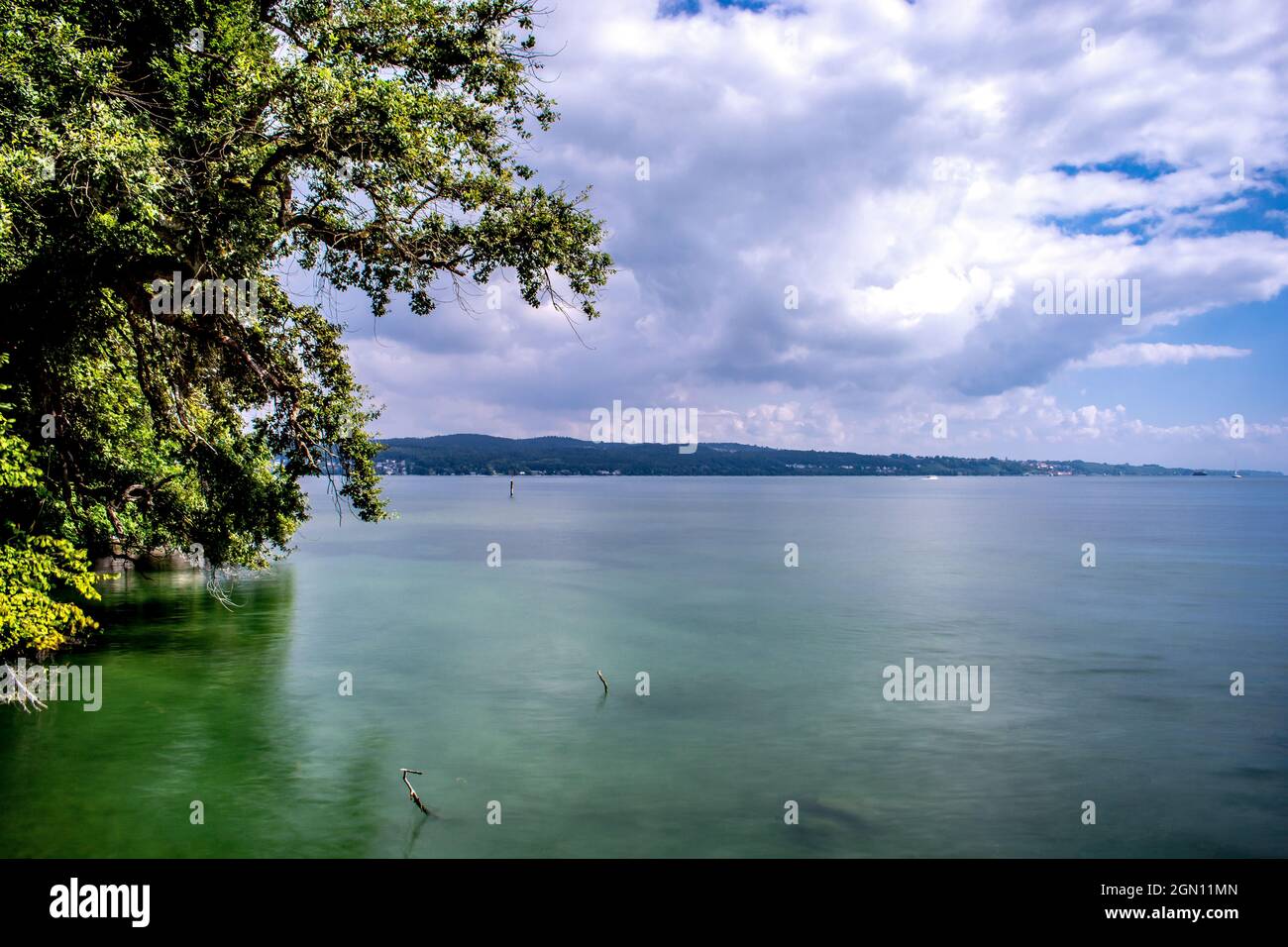 Bodensee : Blick auf den See Stockfoto