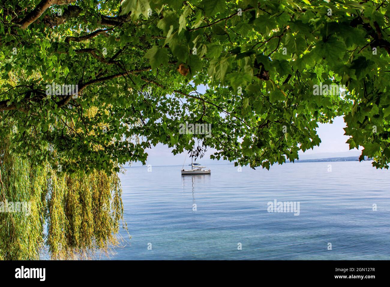 Bodensee : Insel Mainau Stockfoto