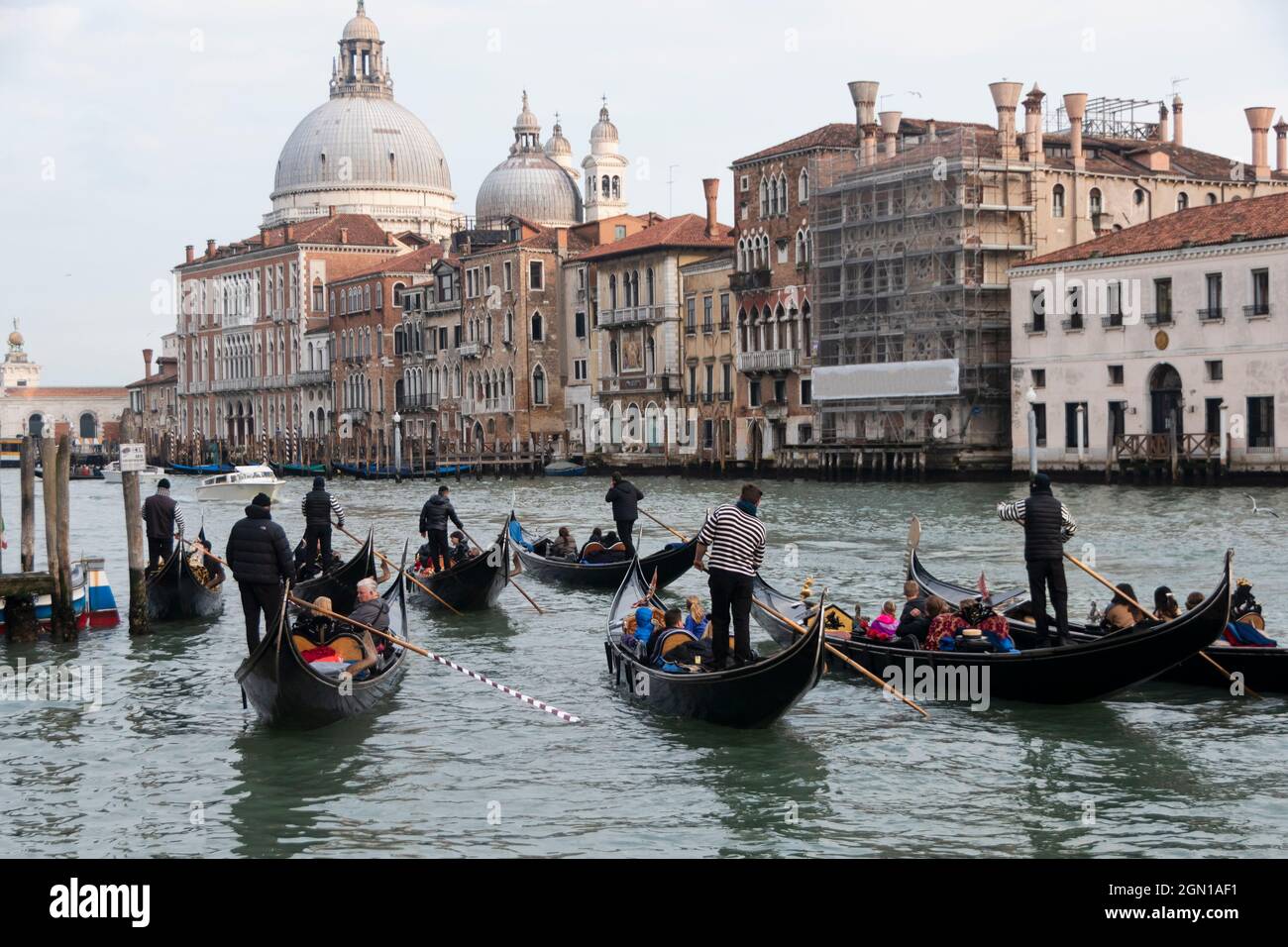 Eine Gruppe von Gondeln, die auf dem Canal Grande in Venedig, Italien, segeln Stockfoto