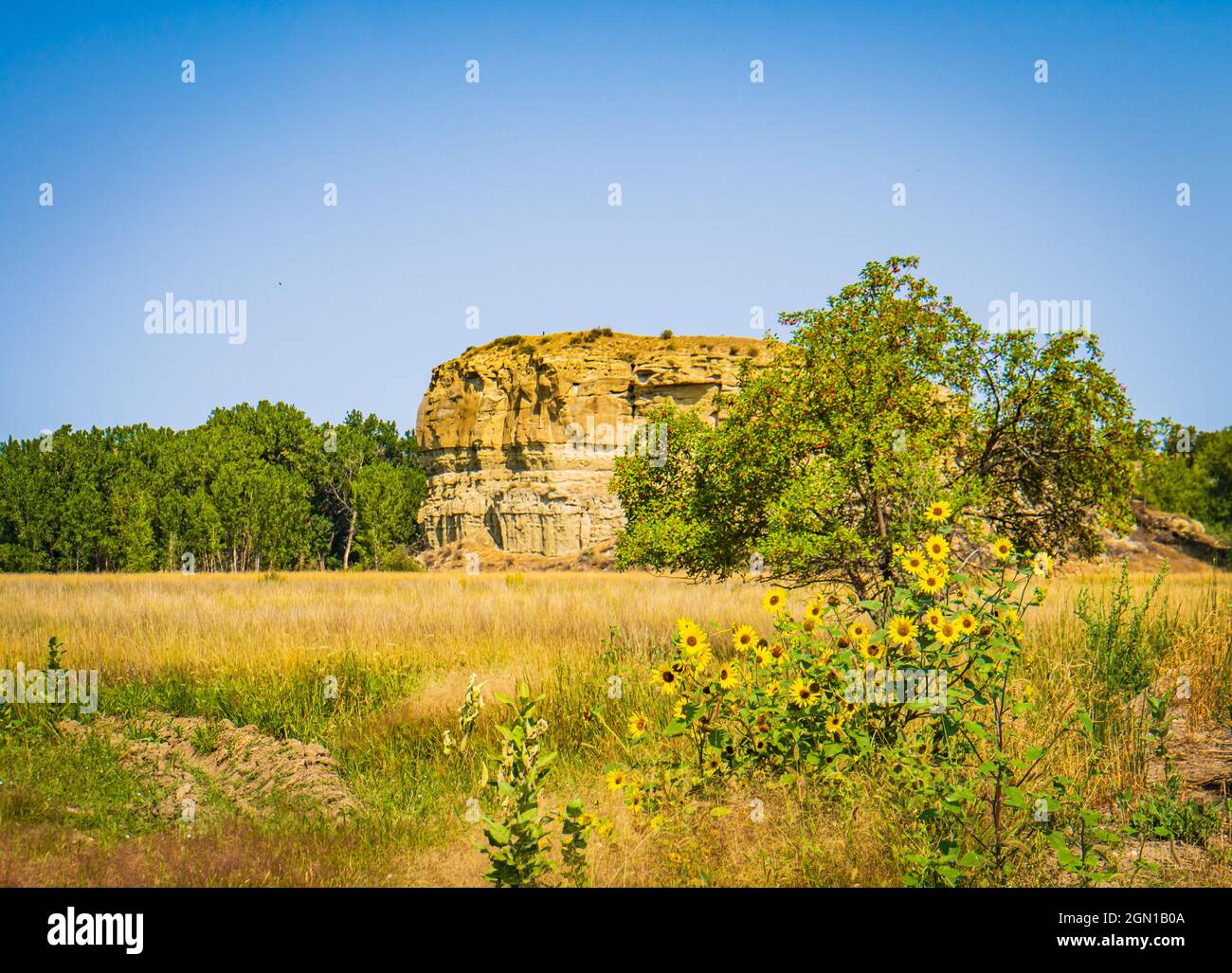 Pompeys Pillar, ein National Monument, ist eine Felsformation im südlichen Zentrum von Montana, USA, die nach dem Spitznamen von Sacagaweas Sohn benannt wurde Stockfoto