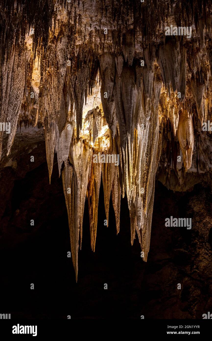 Goldene Höhepunkte Des Kronleuchters Im Carlsbad Caverns National Park Stockfoto