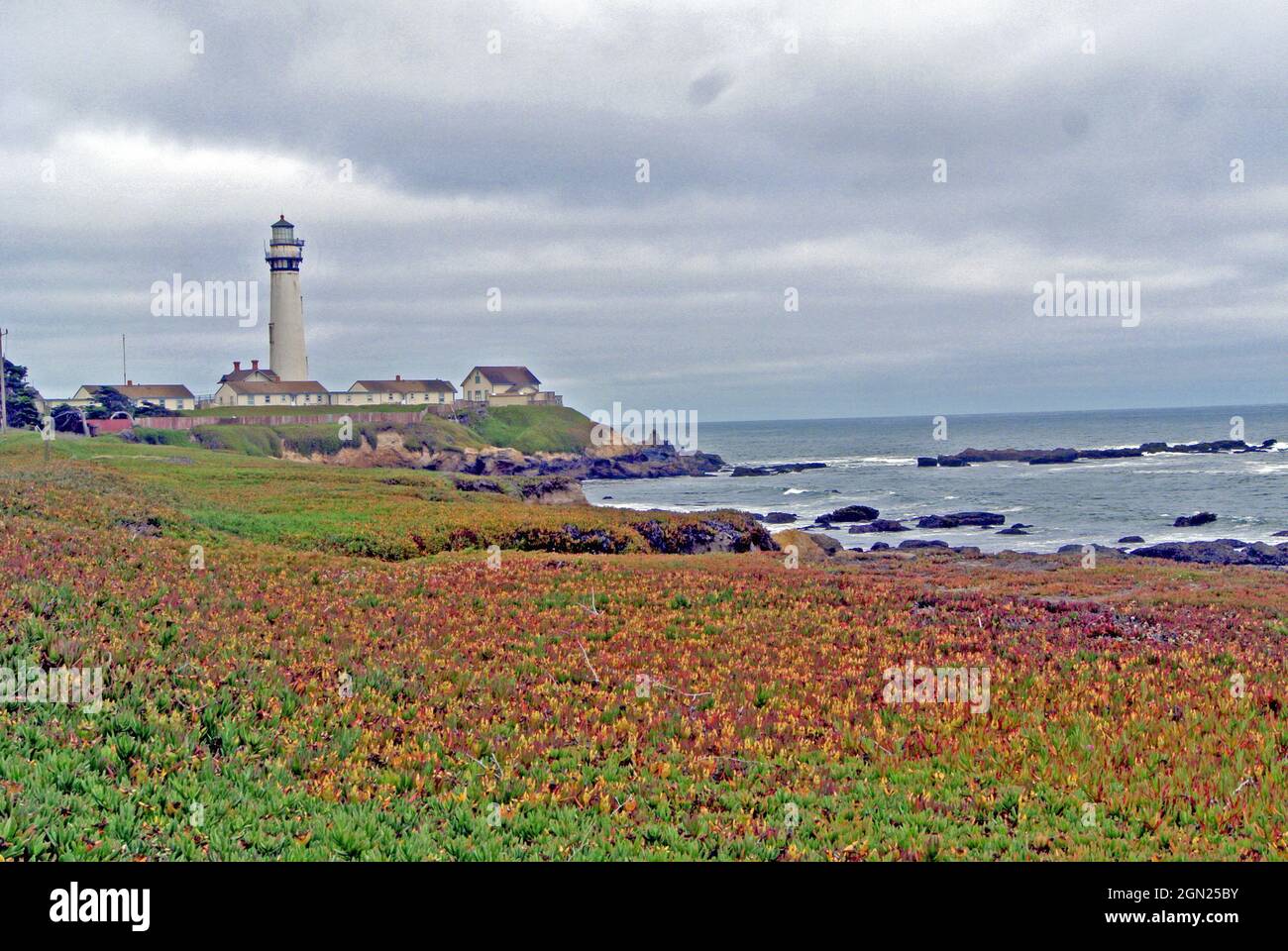 Herbstansicht des Pigeon Point Ligjhouse auf hw 1 monterey County california usa Stockfoto