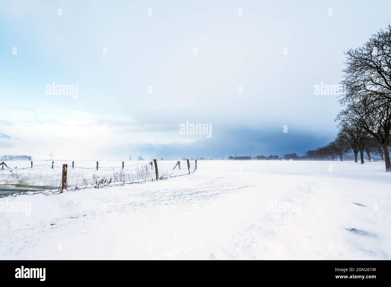 Wintereindruck zur blauen Stunde, Georgshof, Ostholstein, Schleswig-Holstein, Deutschland Stockfoto