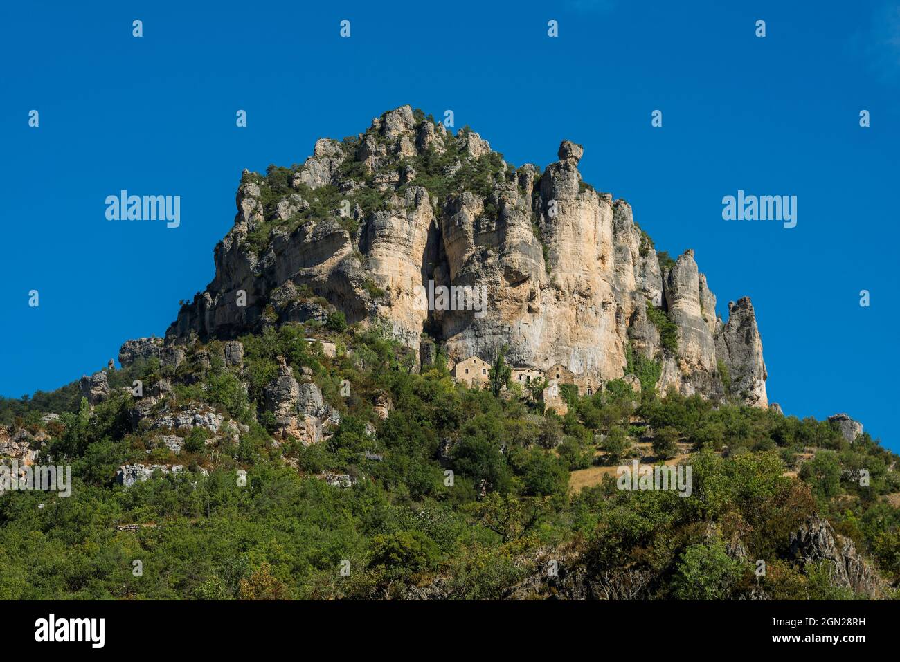 Tarnschlucht bei Le Rozier, Gorges du Tarn, Parc National des Cevennes, Nationalpark Cevennes, Lozère, Languedoc-Roussillon, Ozzitania, Frankreich Stockfoto