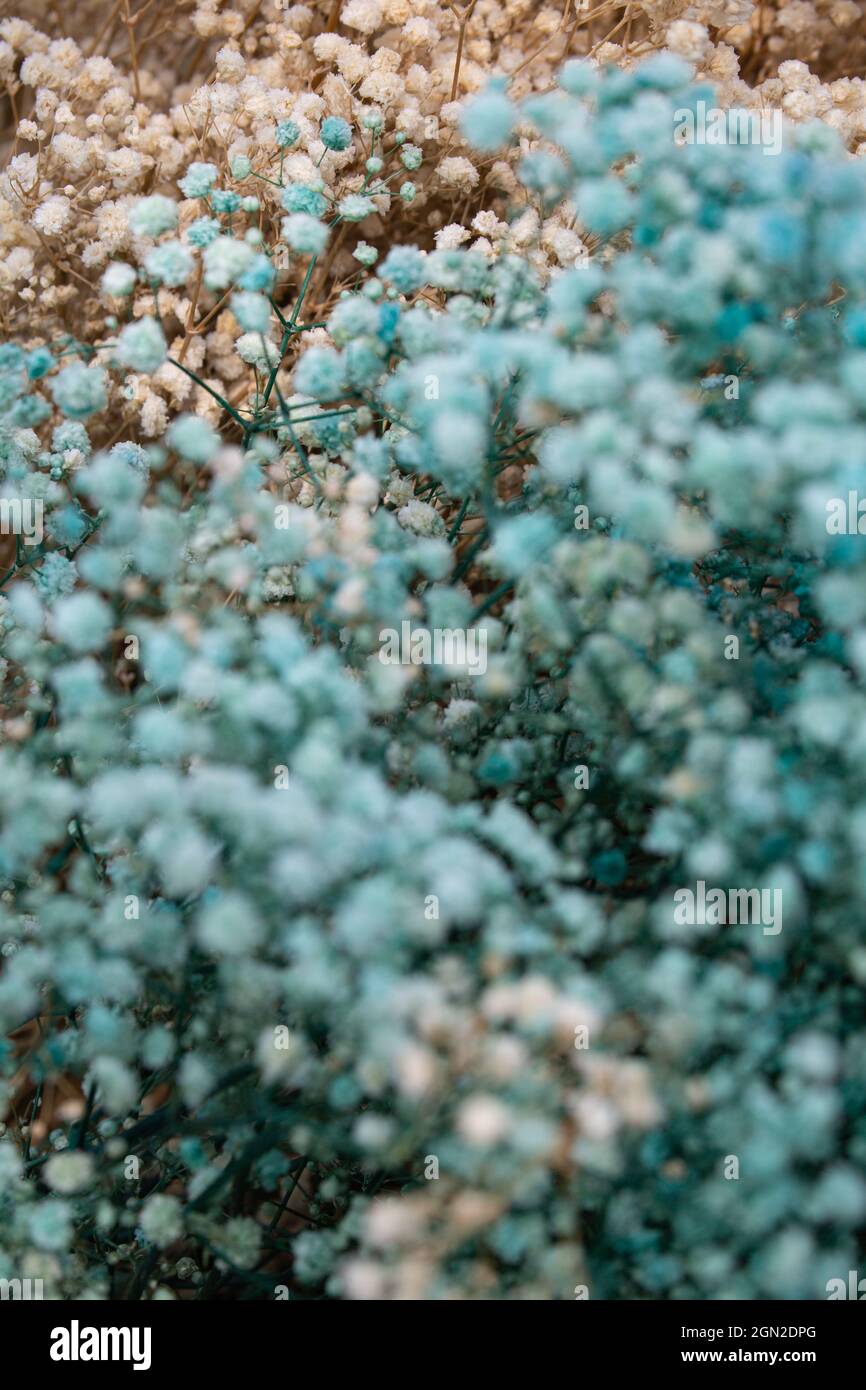 Texturen und Oberflächen, Bezirk Gusu, Suzhou, China Stockfoto