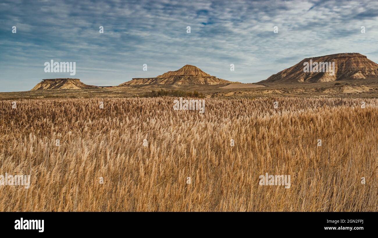 SPANIEN, SPANISCHES BASKENLAND. NAVARRA, WÜSTE DES BARDENAS, LANDWIRTSCHAFTLICHES FELD IN DER WÜSTE BARDENAS MIT TONIGEN HÜGELN IM HINTERGRUND Stockfoto