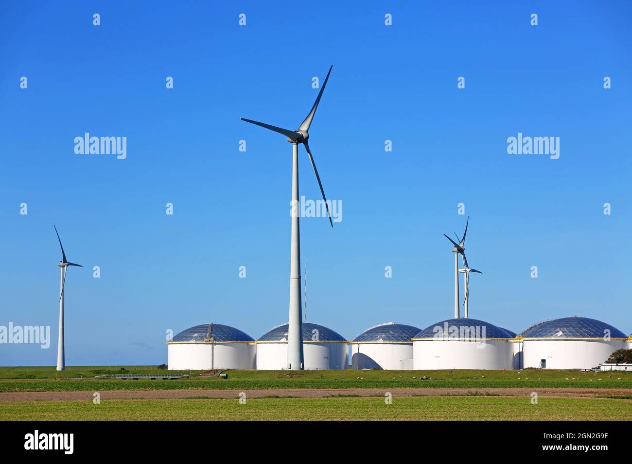 Ölreserven und Windpark in Eemshaven Stockfoto