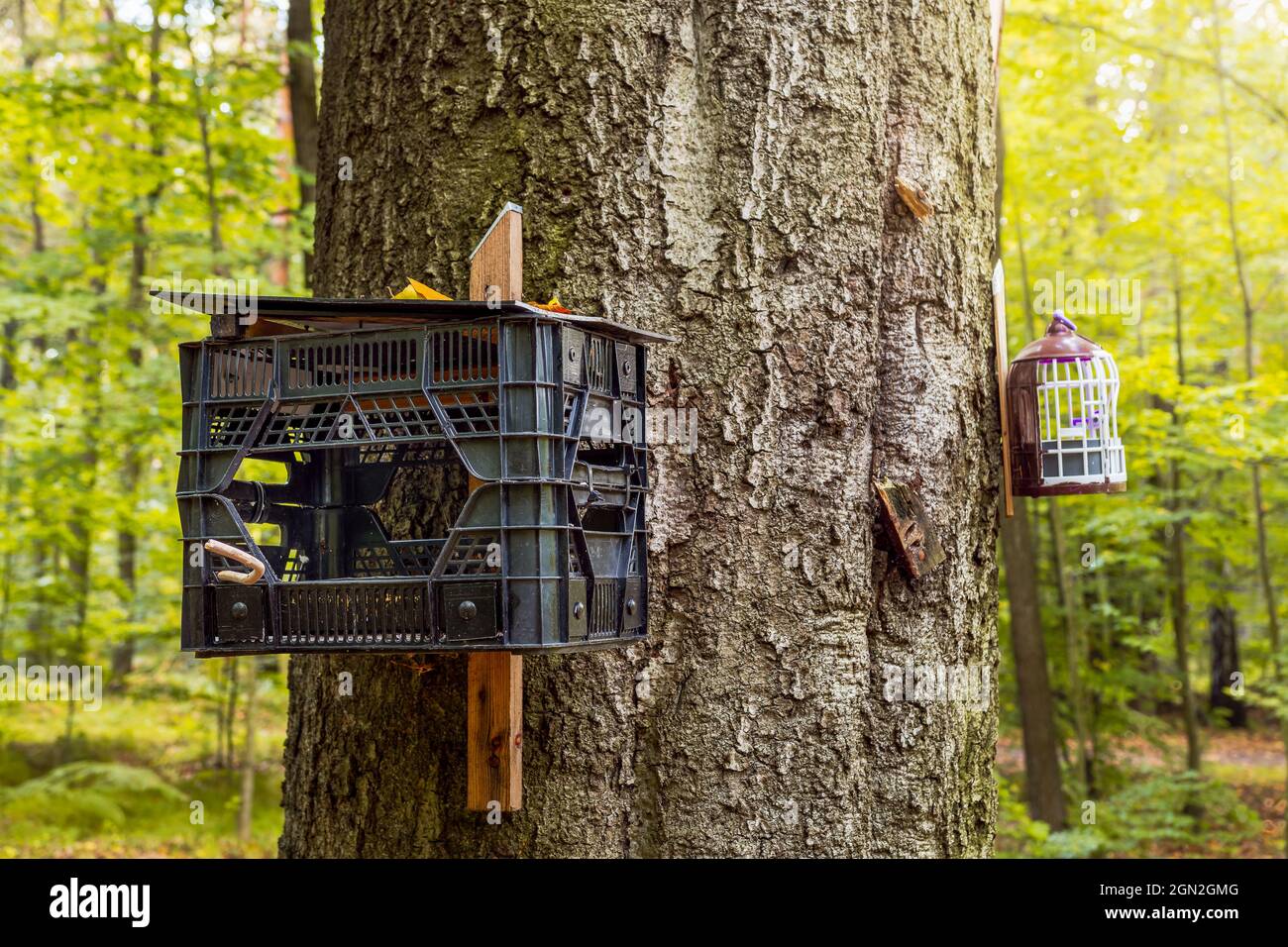 Vogelfutterhäuschen an einer alten Glocke. Tierpflege Stockfoto
