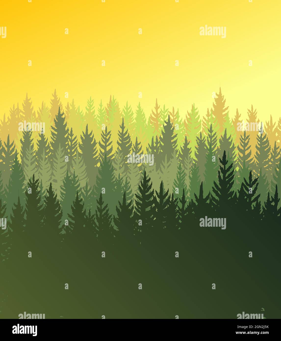 Waldhintergrund. Silhouette Panorama. Sonnenaufgang Landschaft mit Bäumen Nadelbäume. Wunderschöne Aussicht. Sommerszene. Illustrationsvektor Stock Vektor