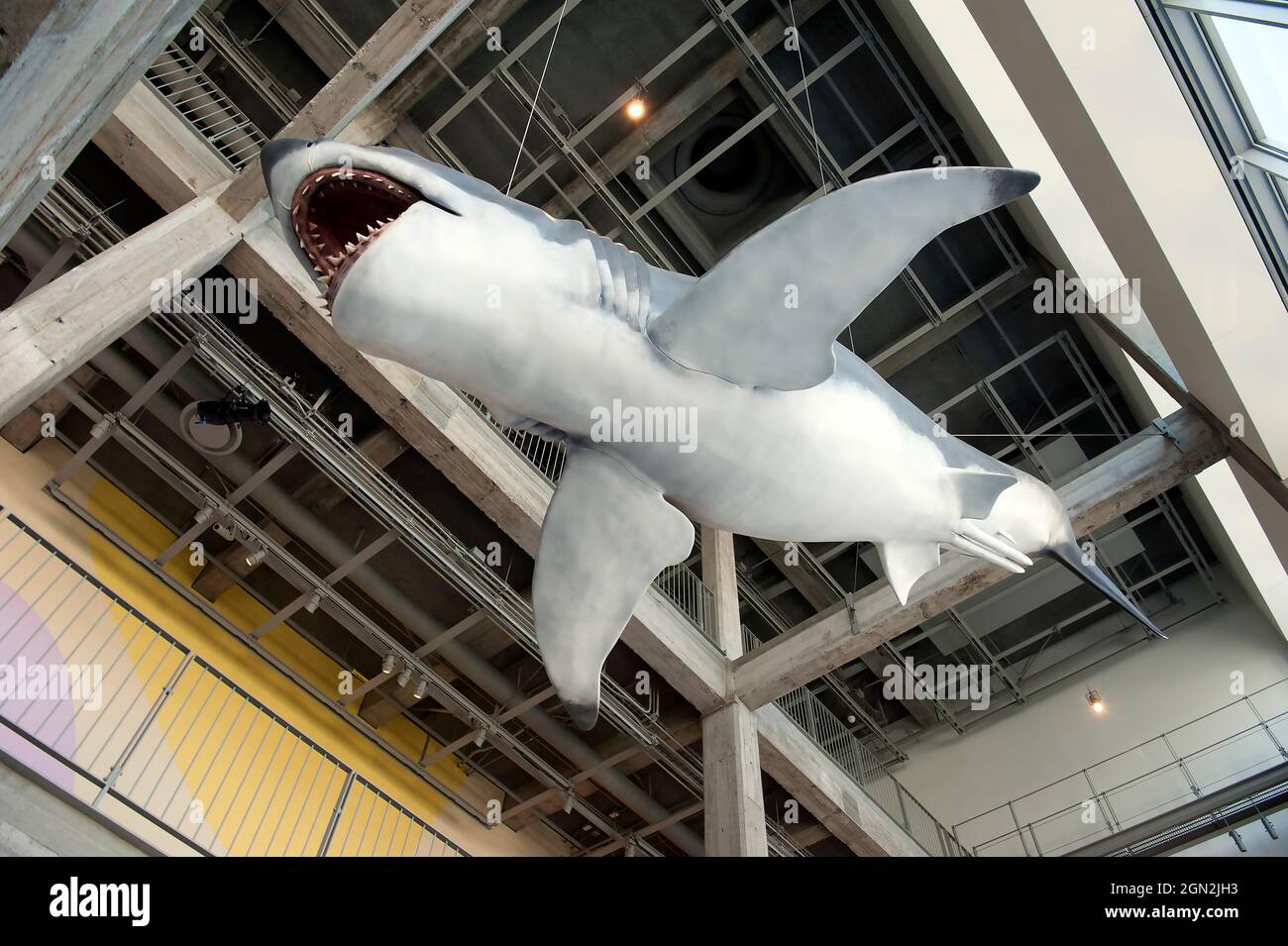 Academy Museum of Motion Pictures, Los Angeles, Kalifornien Stockfoto