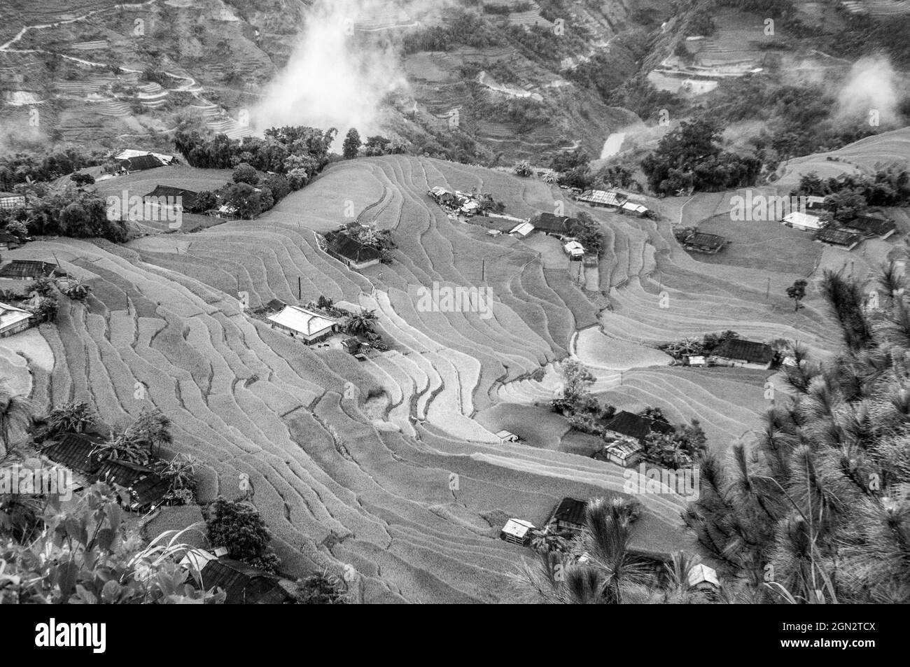 Hoang Su Phi Reisterrasse in der Provinz Ha Giang im Norden Vietnams Stockfoto