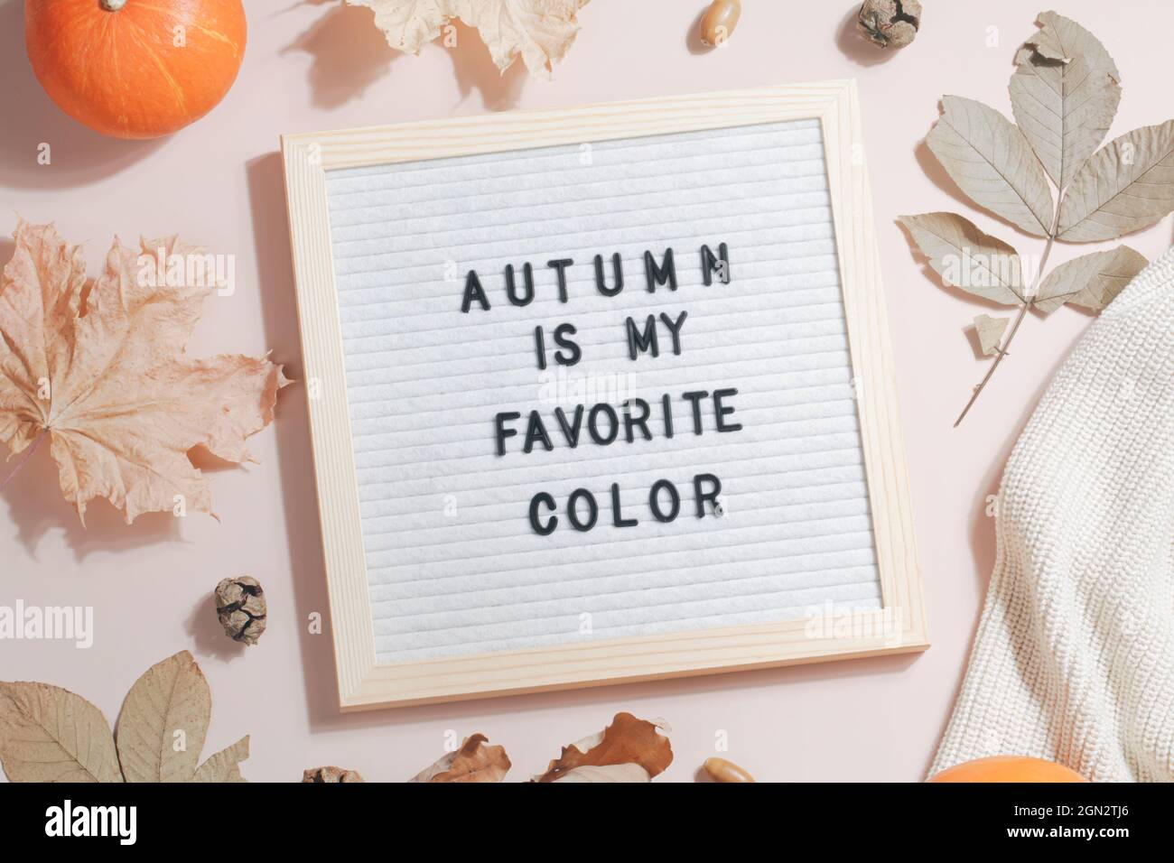 Filzbriefbrett und Text Herbst ist meine Lieblingsfarbe und Blätter, Kürbisse, Pullover auf beigem Hintergrund.Herbstkonzept. Flache Lay Draufsicht Stockfoto