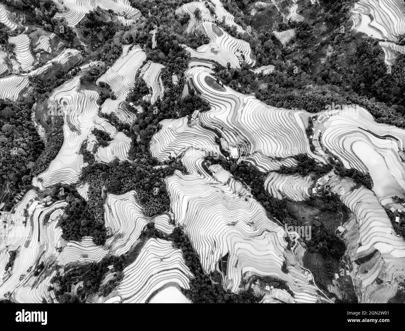 Hoang Su Phi Reisterrasse in der Provinz Ha Giang im Norden Vietnams Stockfoto