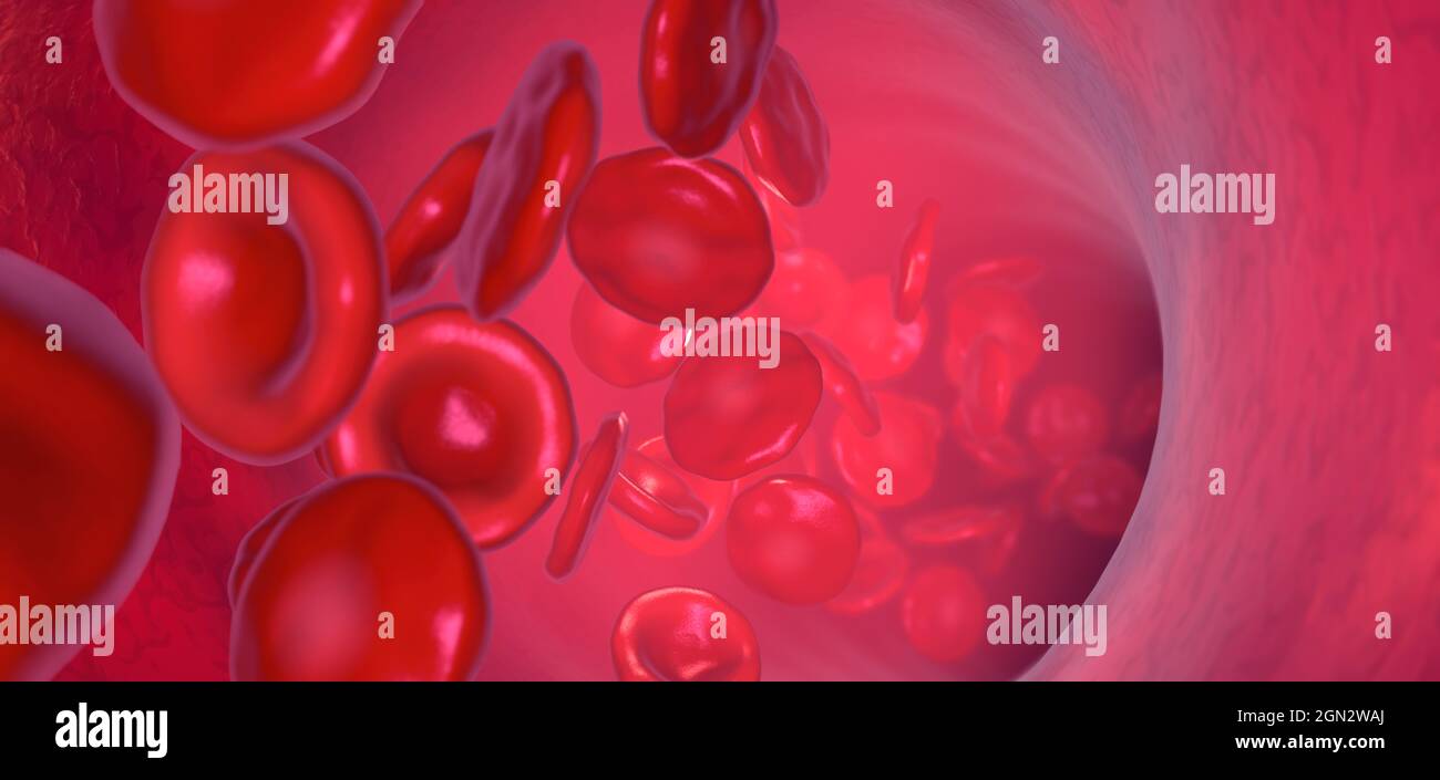 Rote Blutkörperchen, die in einem Blutgefäß zirkulieren - 3D-Abbildung Stockfoto