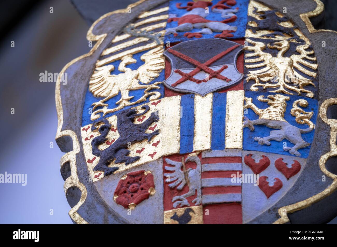 Nahaufnahme des Wappens (16. Jahrhundert) am historischen Eingangsportal des Wittenberger Rathauses Stockfoto