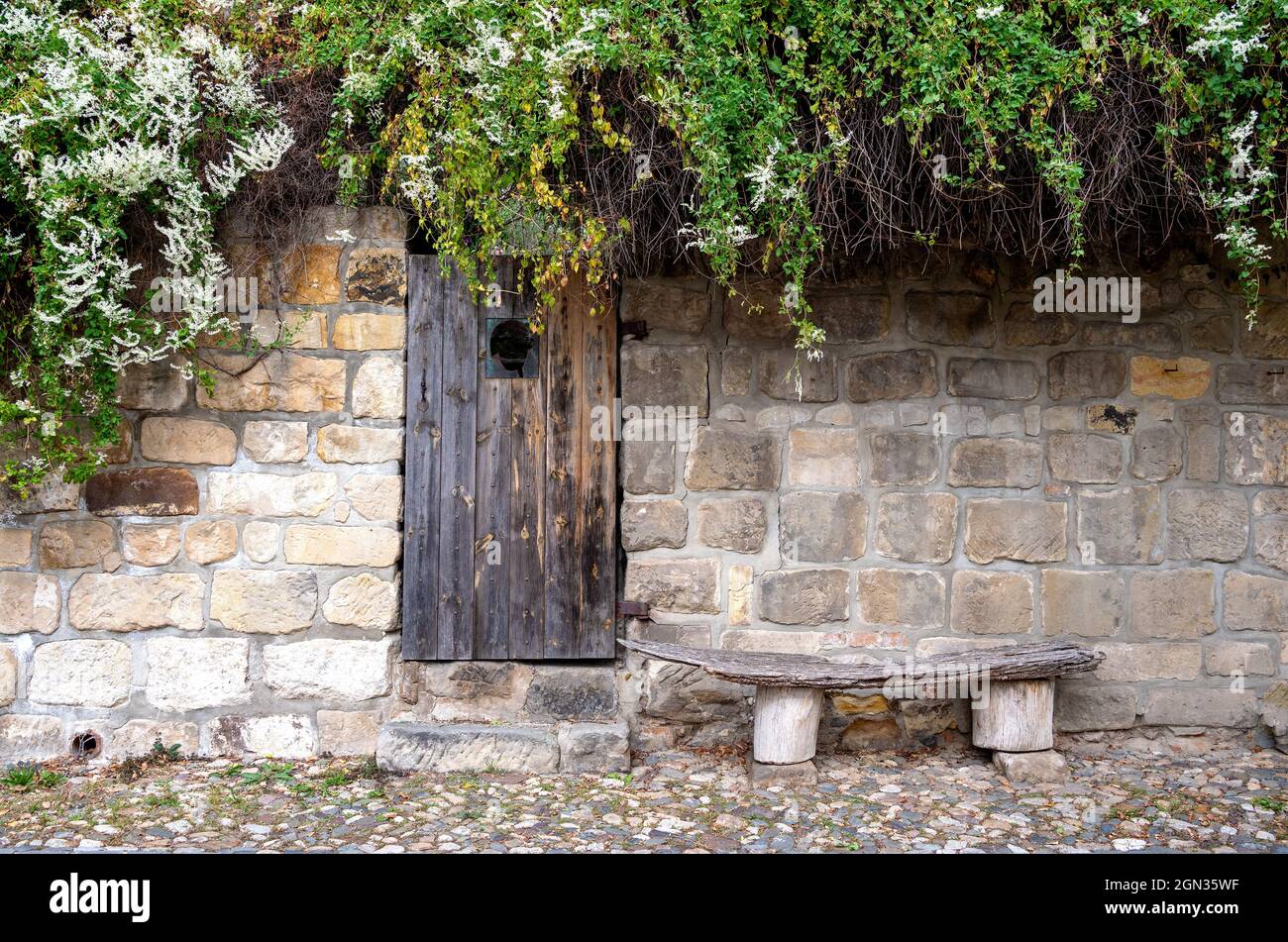 Malerischer Blick auf die Straße mit historischen Kopfsteinpflaster, Steinfassade, Holztür und Bank, umschlänzt mit weiß blühendem Knospen. Stockfoto