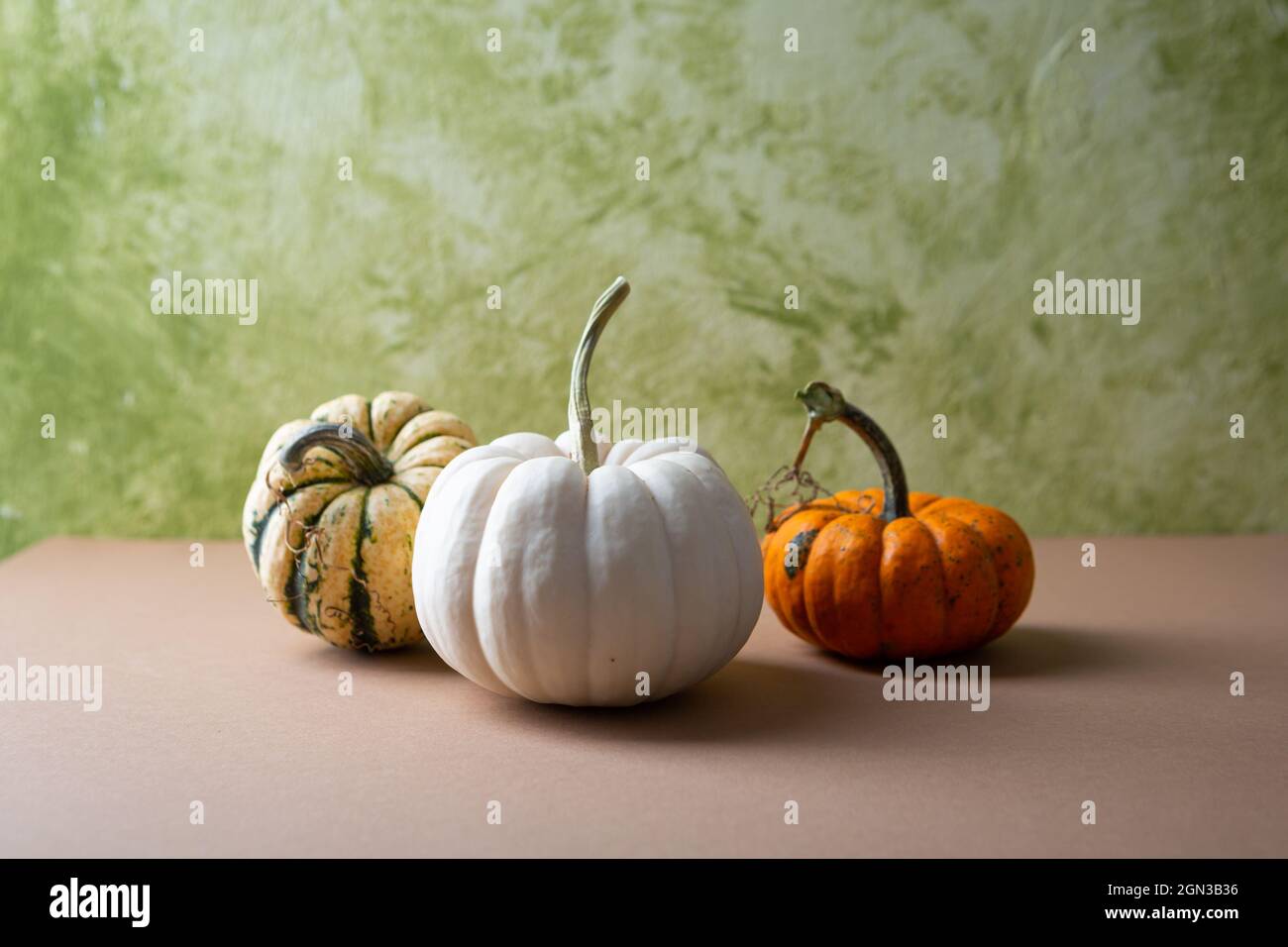 Drei dekorative weiße Kürbis, Herbstferien Konzept Stockfoto