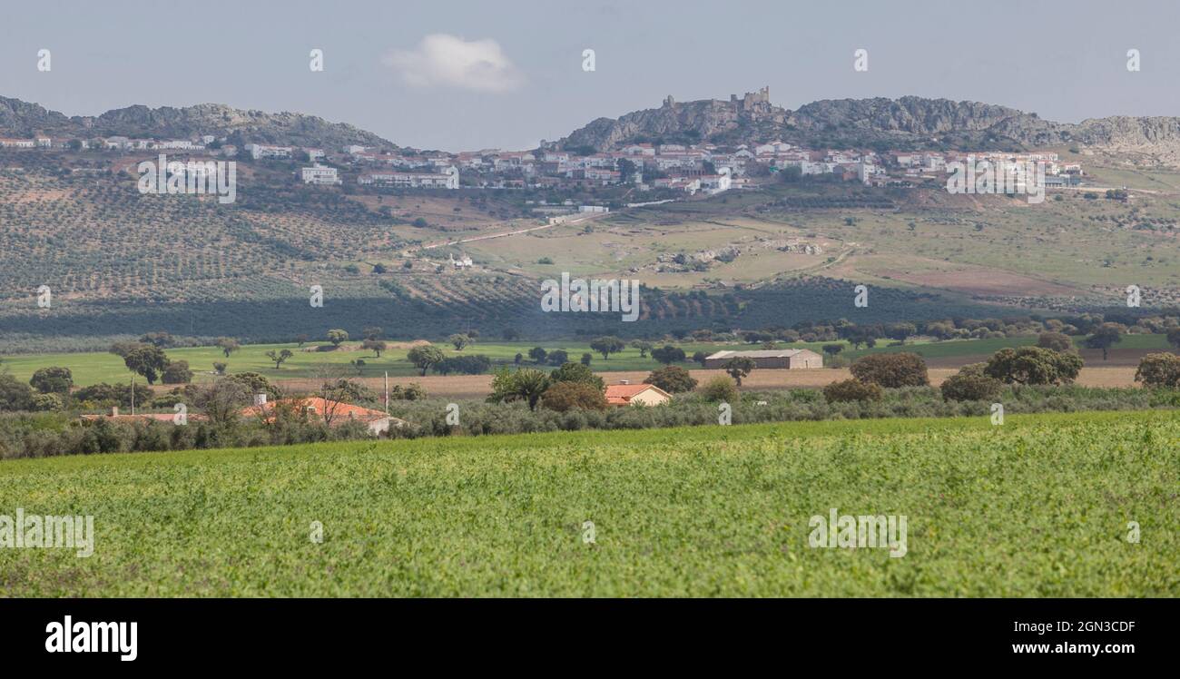 Benquerencia de la Serena Hills, Extremadura, Spanien. Erbsen Plantage an der Spitze Stockfoto