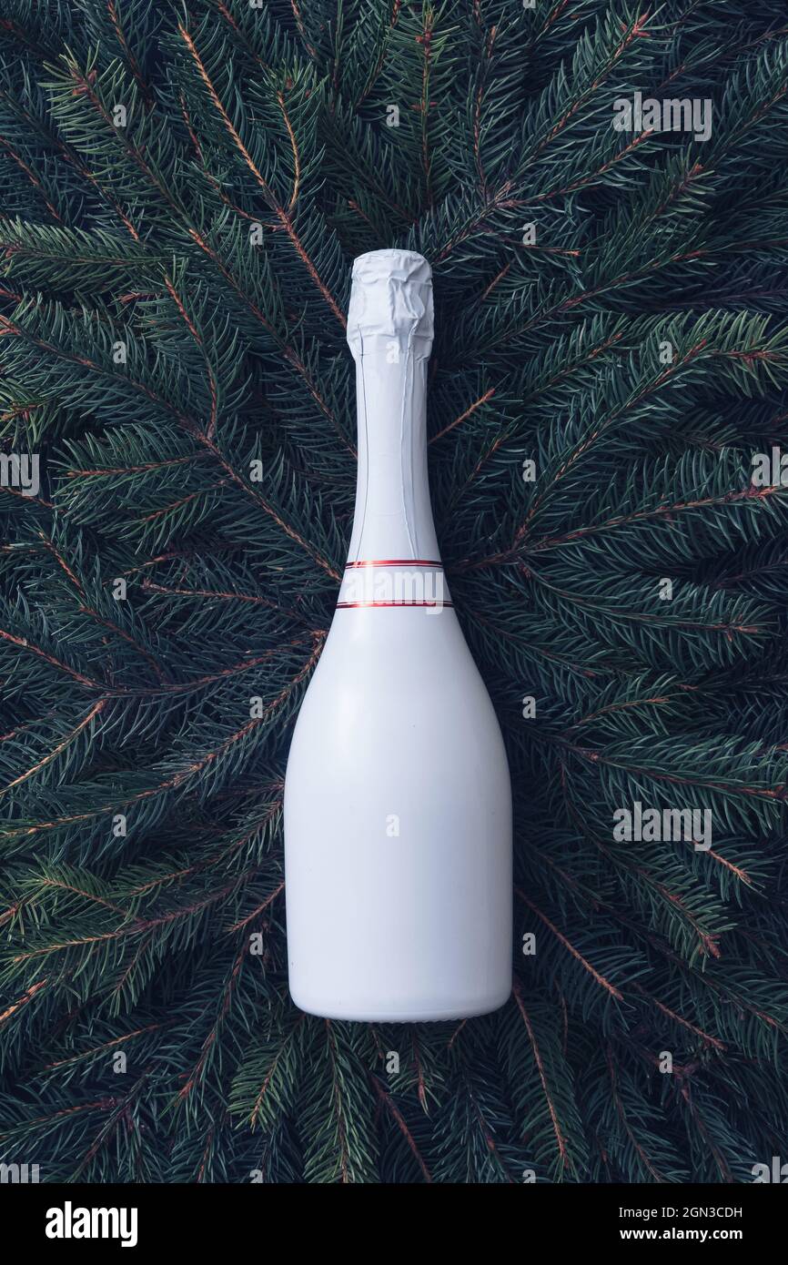 Stilvolle, weiße, unbeschriftete Flasche mit korkiertem Champagner auf einem Bett aus grünem Kiefernholz für Weihnachten, Neujahr, besondere Anlässe oder Feierlichkeiten Stockfoto
